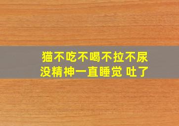 猫不吃不喝不拉不尿没精神一直睡觉 吐了